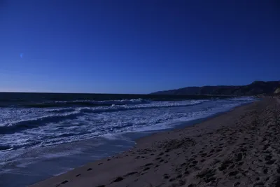 DSC_0466 (Large).JPG